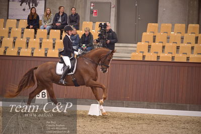 Blue Hors
dressur 4års trøstfinale
Nøgleord: kathrine springborg;springborgs abiza