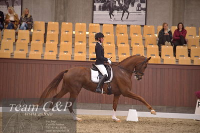Blue Hors
dressur 4års trøstfinale
Nøgleord: kathrine springborg;springborgs abiza