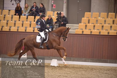Blue Hors
dressur 4års trøstfinale
Nøgleord: kathrine springborg;springborgs abiza