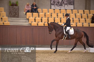 Blue Hors
dressur 4års trøstfinale
Nøgleord: mette sejbjerg jensen;faretti dwb