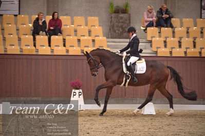 Blue Hors
dressur 4års trøstfinale
Nøgleord: mette sejbjerg jensen;faretti dwb