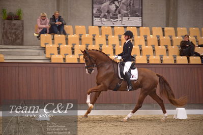 Blue Hors
dressur 4års trøstfinale
Nøgleord: kathrine springborg;springborgs abiza