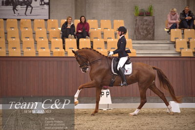 Blue Hors
dressur 4års trøstfinale
Nøgleord: kathrine springborg;springborgs abiza