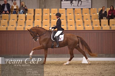 Blue Hors
dressur 4års trøstfinale
Nøgleord: kathrine springborg;springborgs abiza
