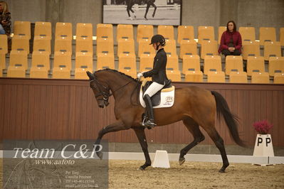 Blue Hors
dressur 4års trøstfinale
Nøgleord: silje bakke;grevens venezia