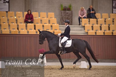 Blue Hors
dressur 4års trøstfinale
Nøgleord: camilla ahlers pedersen;skovmosegårds amarone