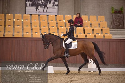 Blue Hors
dressur 4års trøstfinale
Nøgleord: silje bakke;grevens venezia