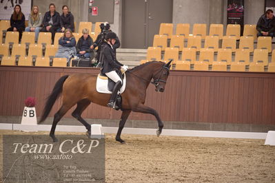 Blue Hors
dressur 4års trøstfinale
Nøgleord: silje bakke;grevens venezia