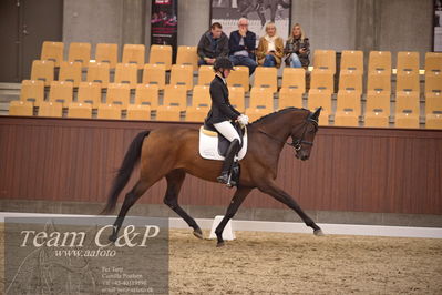 Blue Hors
dressur 4års trøstfinale
Nøgleord: silje bakke;grevens venezia
