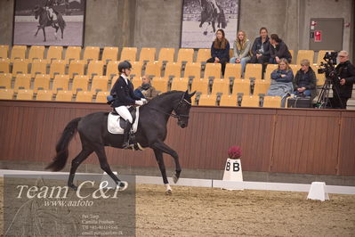 Blue Hors
dressur 4års trøstfinale
Nøgleord: camilla ahlers pedersen;skovmosegårds amarone