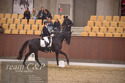 Blue Hors
dressur 4års trøstfinale
Nøgleord: camilla ahlers pedersen;skovmosegårds amarone