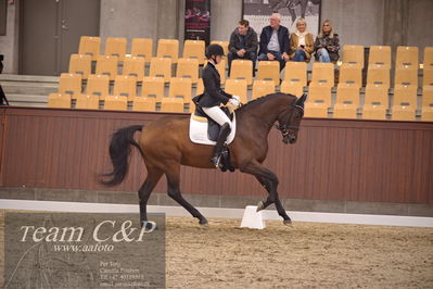 Blue Hors
dressur 4års trøstfinale
Nøgleord: silje bakke;grevens venezia