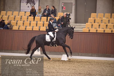 Blue Hors
dressur 4års trøstfinale
Nøgleord: camilla ahlers pedersen;skovmosegårds amarone