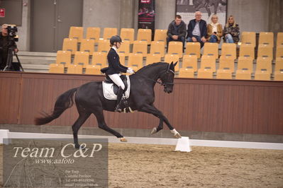 Blue Hors
dressur 4års trøstfinale
Nøgleord: camilla ahlers pedersen;skovmosegårds amarone