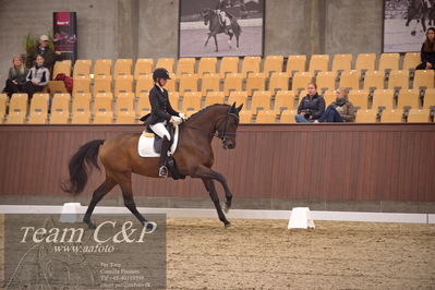 Blue Hors
dressur 4års trøstfinale
Nøgleord: silje bakke;grevens venezia