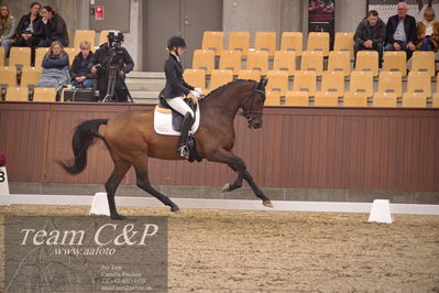 Blue Hors
dressur 4års trøstfinale
Nøgleord: silje bakke;grevens venezia