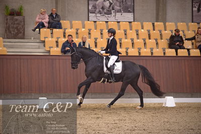 Blue Hors
dressur 4års trøstfinale
Nøgleord: camilla ahlers pedersen;skovmosegårds amarone
