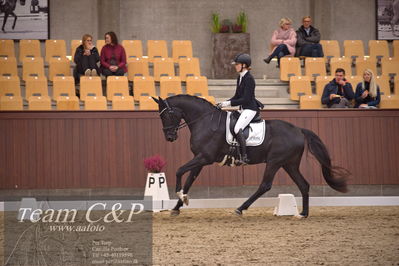 Blue Hors
dressur 4års trøstfinale
Nøgleord: camilla ahlers pedersen;skovmosegårds amarone