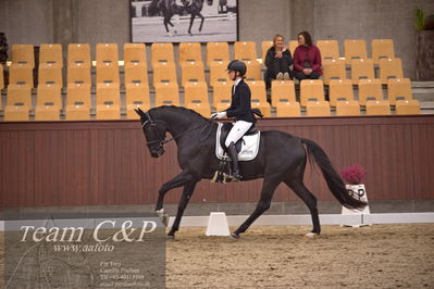 Blue Hors
dressur 4års trøstfinale
Nøgleord: camilla ahlers pedersen;skovmosegårds amarone