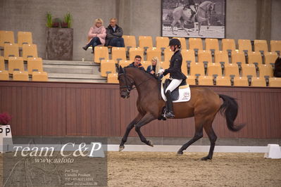 Blue Hors
dressur 4års trøstfinale
Nøgleord: silje bakke;grevens venezia