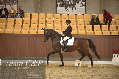 Blue Hors
dressur 4års trøstfinale
Nøgleord: mette risager;revel enshøj