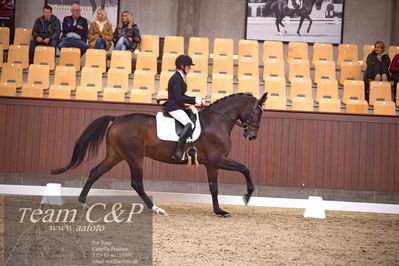 Blue Hors
dressur 4års trøstfinale
Nøgleord: mette risager;revel enshøj