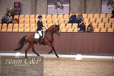 Blue Hors
dressur 4års trøstfinale
Nøgleord: hesselhoej rock a billy;anders uve sjøbeck hoeck