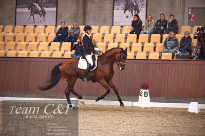 Blue Hors
dressur 4års trøstfinale
Nøgleord: hesselhoej rock a billy;anders uve sjøbeck hoeck