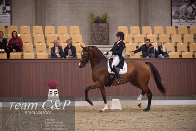 Blue Hors
7års trøstfinale dressur
Nøgleord: miss holsteins marikka