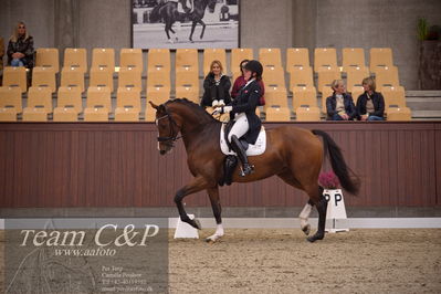 Blue Hors
7års trøstfinale dressur
Nøgleord: miss holsteins marikka