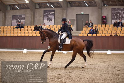 Blue Hors
7års trøstfinale dressur
Nøgleord: miss holsteins marikka