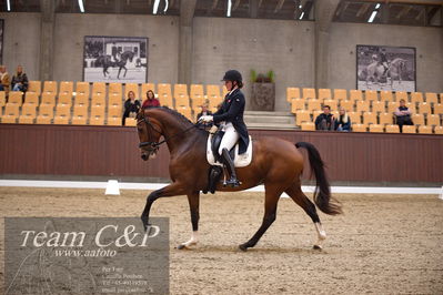 Blue Hors
7års trøstfinale dressur
Nøgleord: miss holsteins marikka