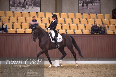 Blue Hors
7års trøstfinale dressur
Nøgleord: sheik eg;nadja therkelsen