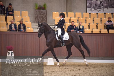 Blue Hors
7års trøstfinale dressur
Nøgleord: sheik eg;nadja therkelsen