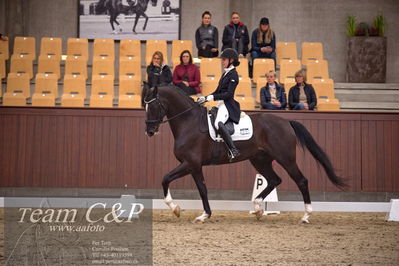 Blue Hors
7års trøstfinale dressur
Nøgleord: sheik eg;nadja therkelsen