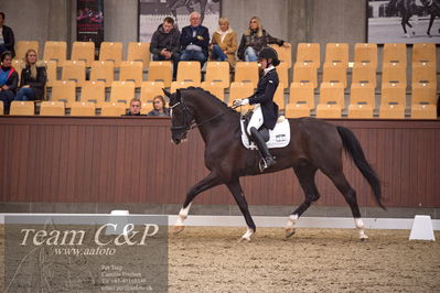 Blue Hors
7års trøstfinale dressur
Nøgleord: sheik eg;nadja therkelsen