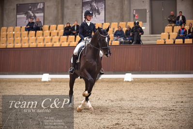 Blue Hors
7års trøstfinale dressur
Nøgleord: sheik eg;nadja therkelsen