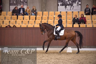 Blue Hors
7års trøstfinale dressur
Nøgleord: sanne glargaard;zavannah