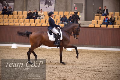 Blue Hors
7års trøstfinale dressur
Nøgleord: sanne glargaard;zavannah