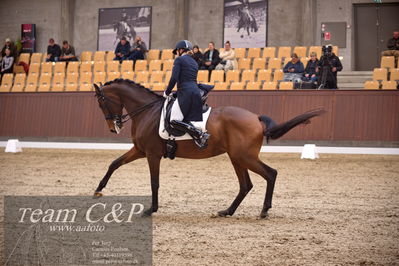 Blue Hors
7års trøstfinale dressur
Nøgleord: sanne glargaard;zavannah