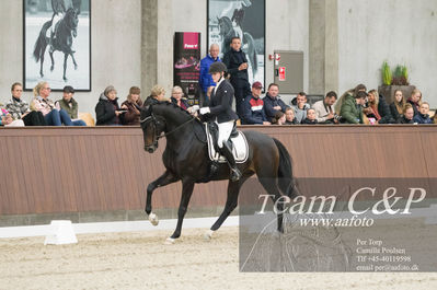 Nøgleord: cecilie hedegaard;ellelys pinell