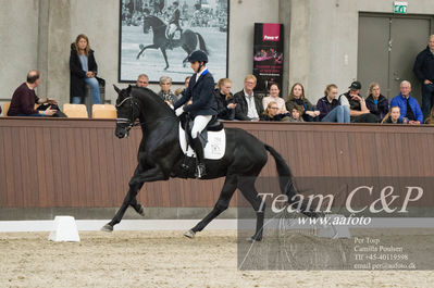 Nøgleord: blue hors zackorado;cristian tudela ruiz