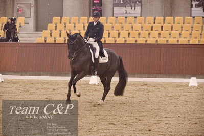 Blue Hors
7års dressur kvl
Nøgleord: andreas helgstrand;queenparks wendy