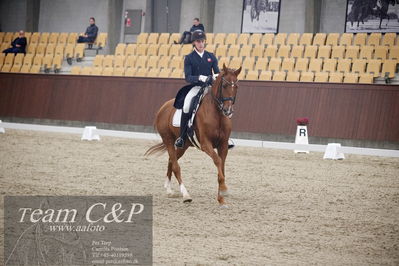 Blue Hors
7års dressur kvl
Nøgleord: kristian würtz green;schuberts macatack