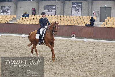 Blue Hors
7års dressur kvl
Nøgleord: kristian würtz green;schuberts macatack