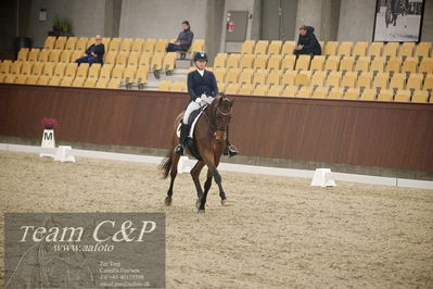 Blue Hors
7års dressur kvl
Nøgleord: zavannah;sanne glargaard