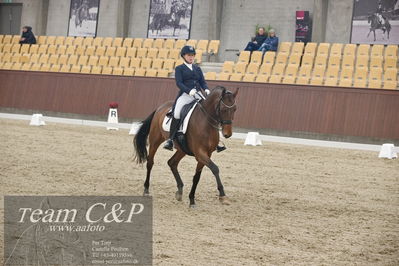 Blue Hors
7års dressur kvl
Nøgleord: zavannah;sanne glargaard