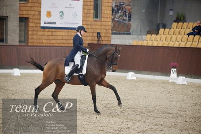 Blue Hors
7års dressur kvl
Nøgleord: zavannah;sanne glargaard