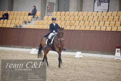 Blue Hors
7års dressur kvl
Nøgleord: zavannah;sanne glargaard