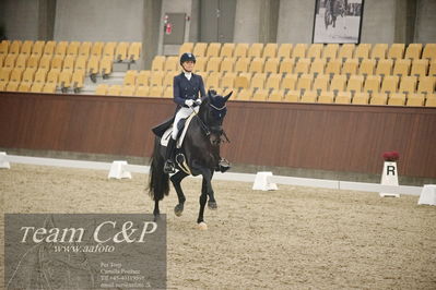 Blue Hors
7års dressur kvl
Nøgleord: elverhøjs raccolto;marianne helgstrand